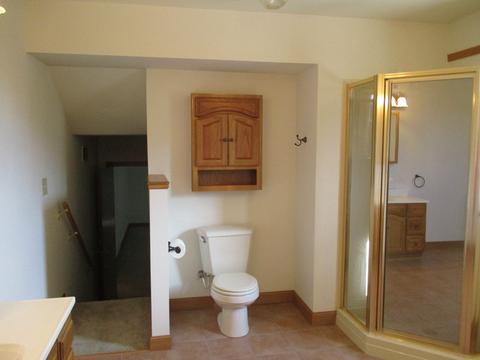 109 N Front St, Danforth, IL 60930 photo 13