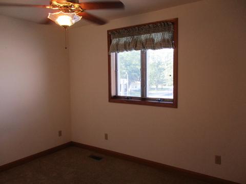 109 N Front St, Danforth, IL 60930 photo 14