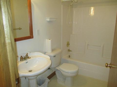 109 N Front St, Danforth, IL 60930 photo 15