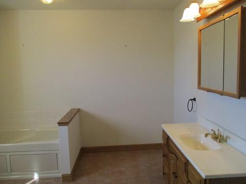 109 N Front St, Danforth, IL 60930 photo 11