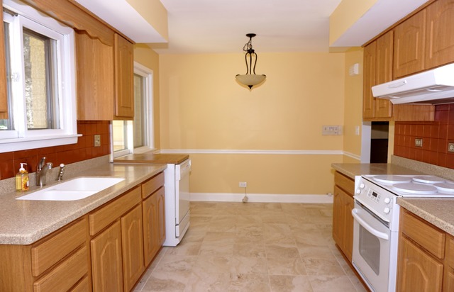 249 Cornell Ave, Des Plaines, IL 60016 photo 4