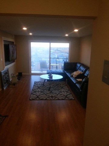 5332 N Delphia Ave #603, Chicago, IL 60656 photo 3