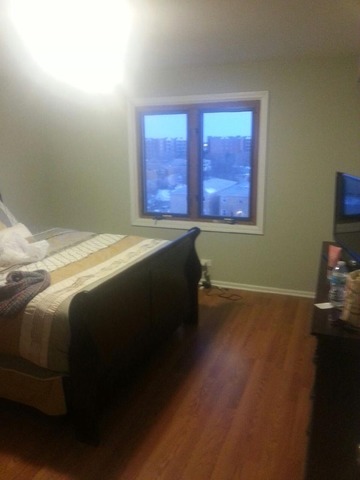 5332 N Delphia Ave #603, Chicago, IL 60656 photo 4