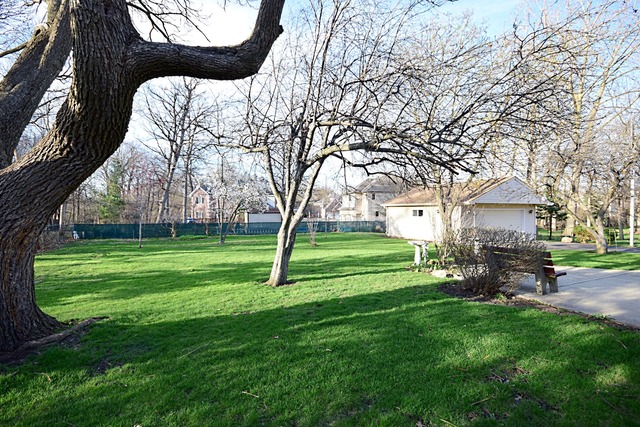 650 E Belmont Ave, Addison, IL 60101 photo 23