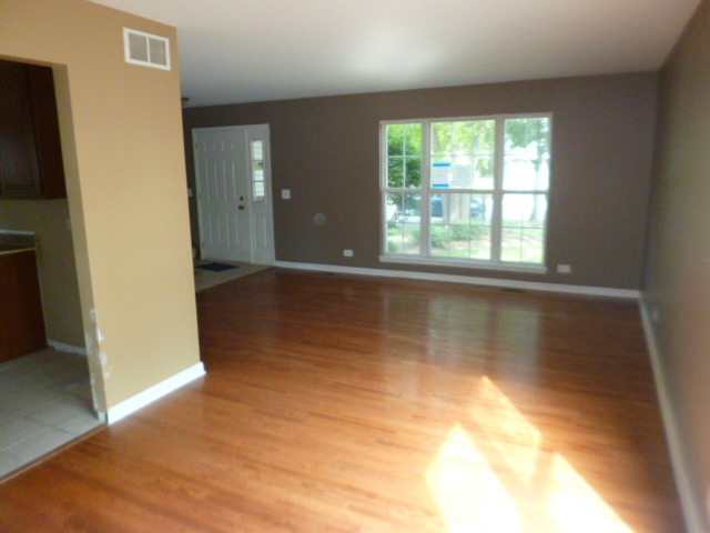 1064 Little Falls Dr, Elgin, IL 60120 photo 3