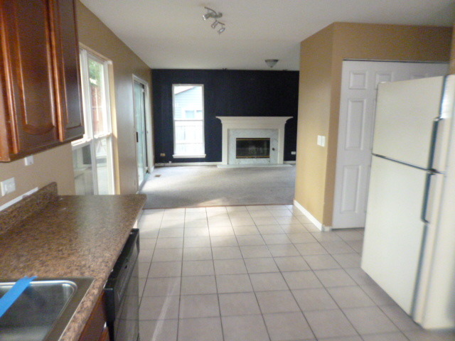 1064 Little Falls Dr, Elgin, IL 60120 photo 6