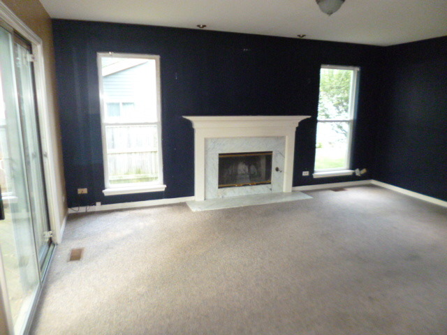 1064 Little Falls Dr, Elgin, IL 60120 photo 8