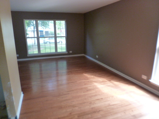 1064 Little Falls Dr, Elgin, IL 60120 photo 4