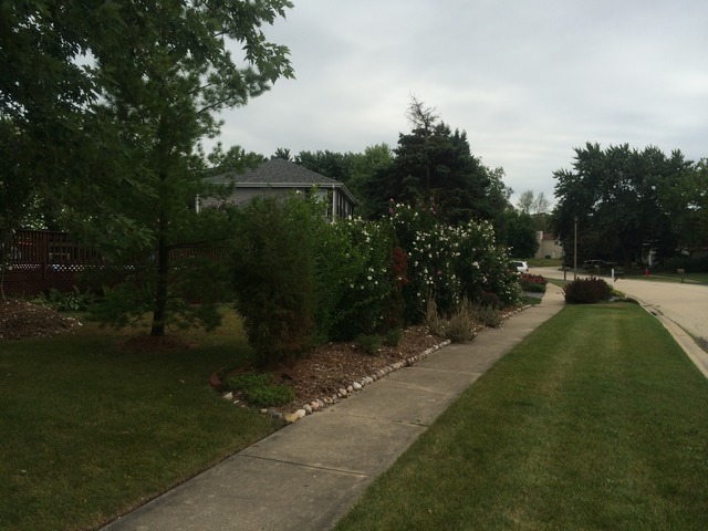 4999 Adele Dr, Gurnee, IL 60031 photo 16