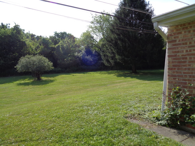 3117 Terry Ln, Broadview, IL 60155 photo 20