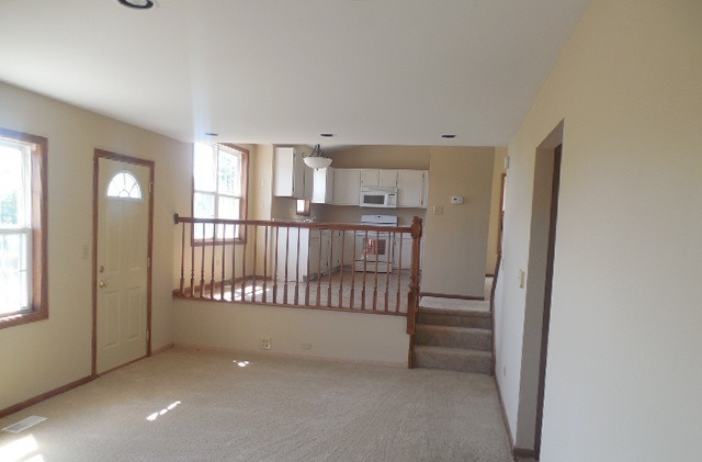 4501 Pond Cir, Plainfield, IL 60586 photo 9