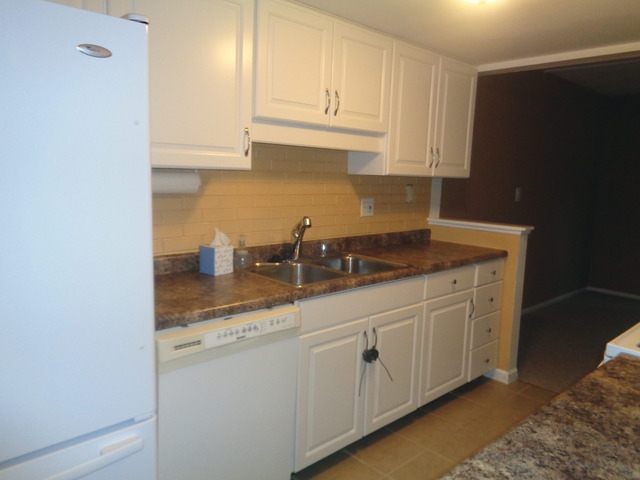 35 Cypress Sq, Elgin, IL 60123 photo 4