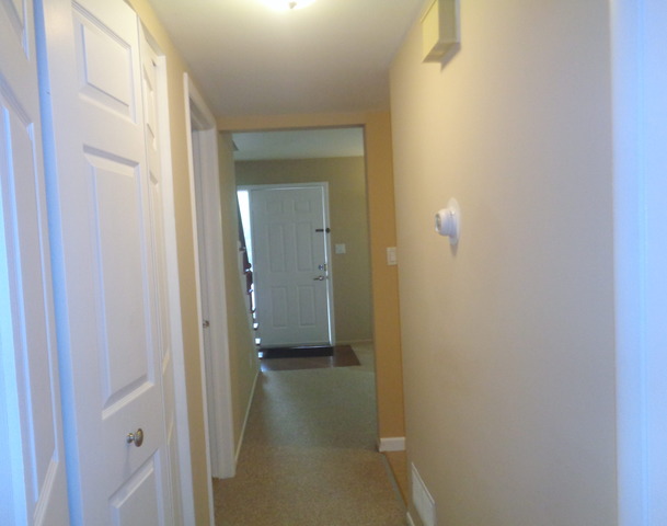 35 Cypress Sq, Elgin, IL 60123 photo 15