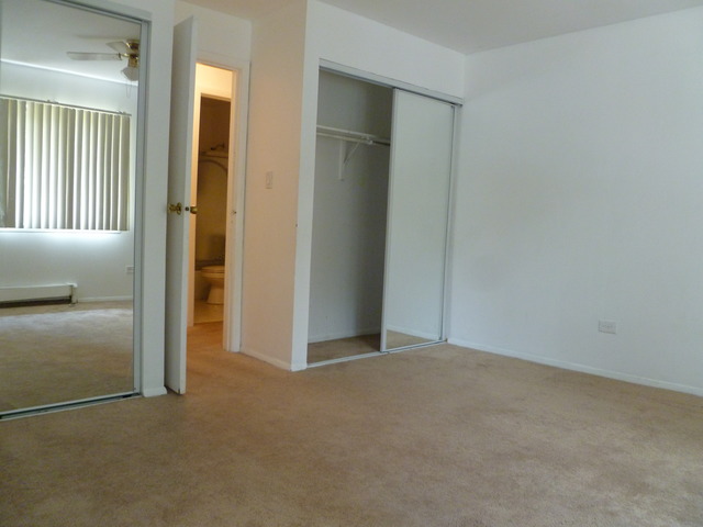 974 Crabapple Dr #206, Prospect Heights, IL 60070 photo 7
