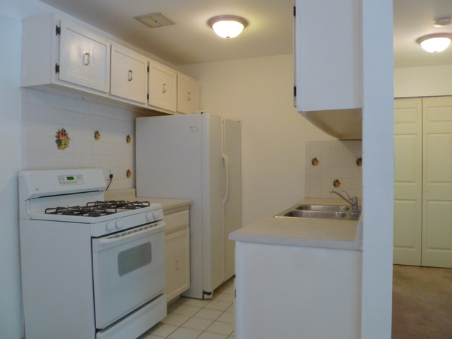 974 Crabapple Dr #206, Prospect Heights, IL 60070 photo 5