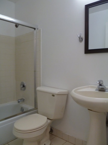 974 Crabapple Dr #206, Prospect Heights, IL 60070 photo 8