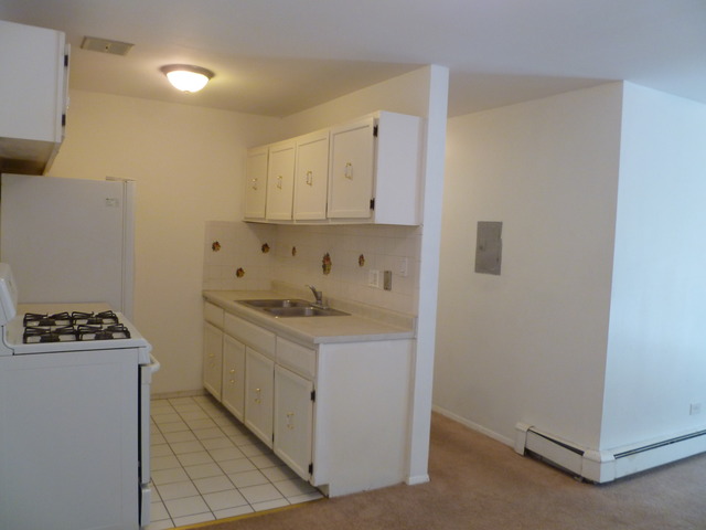 974 Crabapple Dr #206, Prospect Heights, IL 60070 photo 4