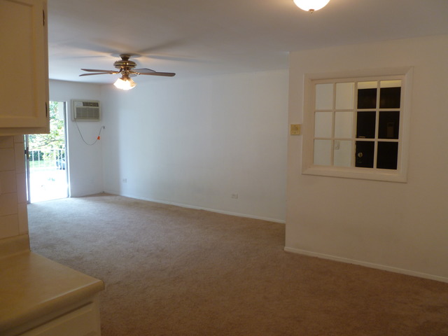 974 Crabapple Dr #206, Prospect Heights, IL 60070 photo 2
