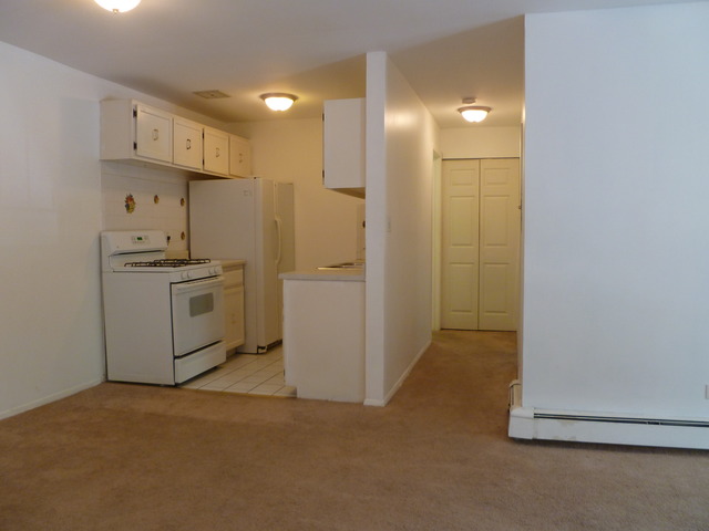 974 Crabapple Dr #206, Prospect Heights, IL 60070 photo 3