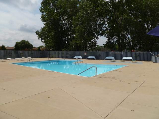 974 Crabapple Dr #206, Prospect Heights, IL 60070 photo 11