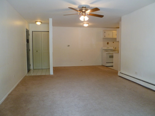 974 Crabapple Dr #206, Prospect Heights, IL 60070 photo 1