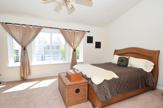 1703 Spaulding Rd #581, Bartlett, IL 60103 photo 3