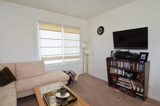 1703 Spaulding Rd #581, Bartlett, IL 60103 photo 15
