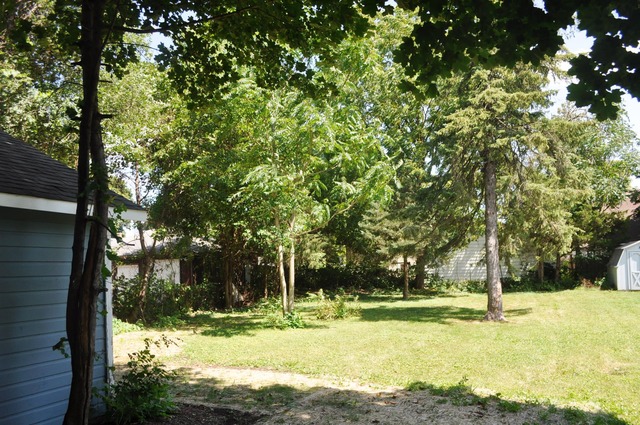 459 George St, Elgin, IL 60120 photo 13