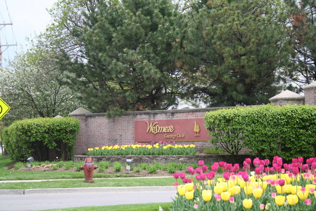 5752 Lake Pointe Dr, Plainfield, IL 60586 photo 15