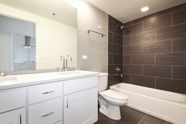 50 E 16th St #306, Chicago, IL 60616 photo 7