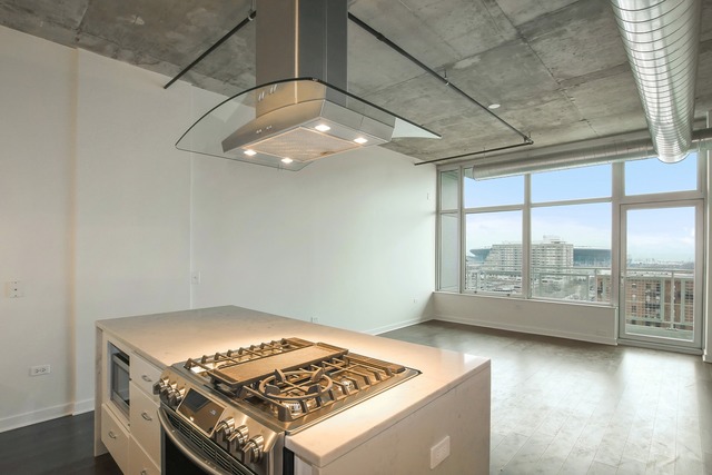 50 E 16th St #306, Chicago, IL 60616 photo 3