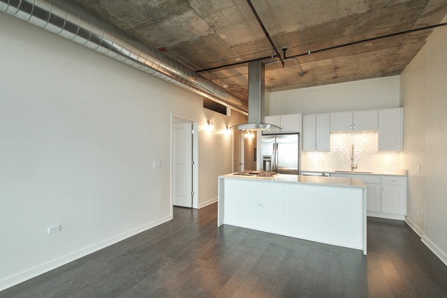 50 E 16th St #306, Chicago, IL 60616 photo 4