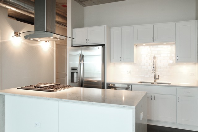50 E 16th St #306, Chicago, IL 60616 photo 2