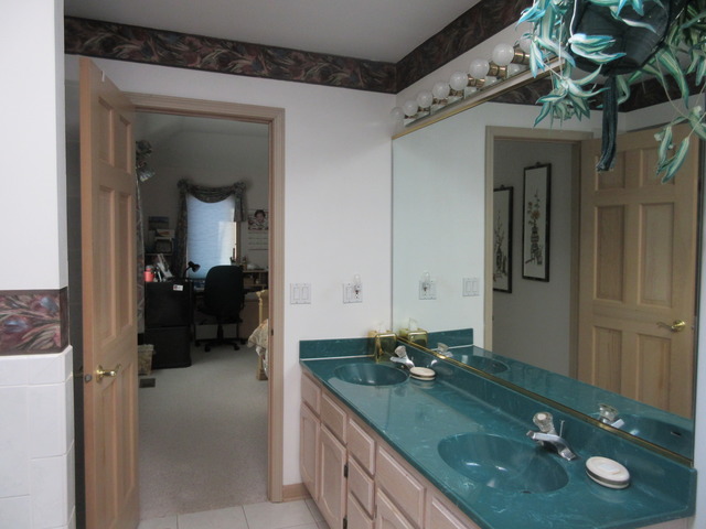 801 Kylemore Dr, Des Plaines, IL 60016 photo 14