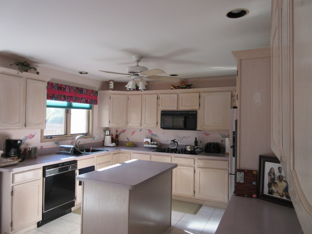 801 Kylemore Dr, Des Plaines, IL 60016 photo 4