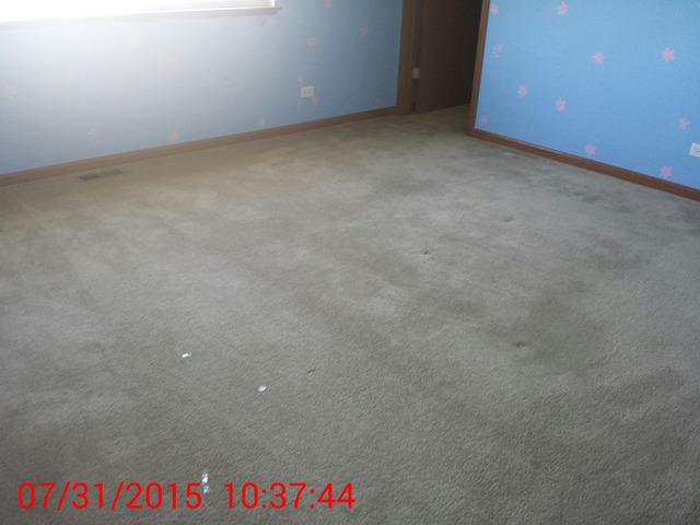 86 Augusta Dr, Gilberts, IL 60136 photo 15