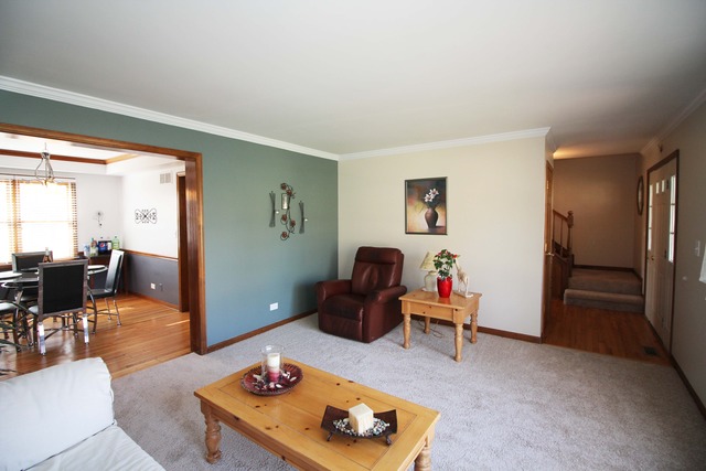 858 Brewster Ln, Bartlett, IL 60103 photo 9