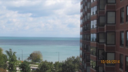 5555 S Everett Ave #7c, Chicago, IL 60637 photo 6