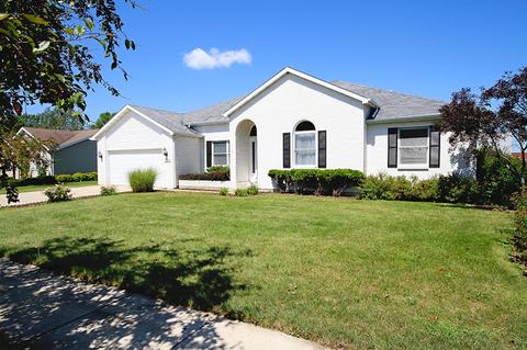 302 Koca Dr, Braidwood, IL 60408 photo 1