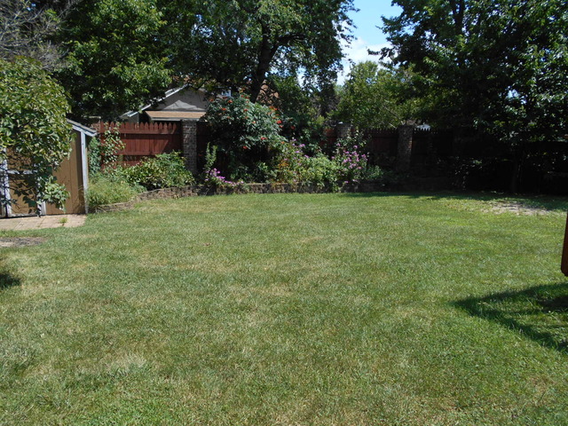 7519 Banks St, Justice, IL 60458 photo 22