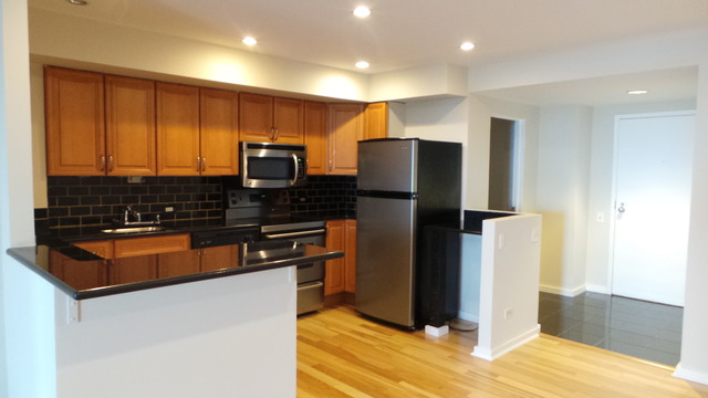 40 E 9th St #1404, Chicago, IL 60605 photo 8