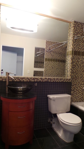 40 E 9th St #1404, Chicago, IL 60605 photo 12