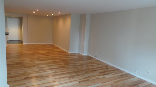 40 E 9th St #1404, Chicago, IL 60605 photo 5