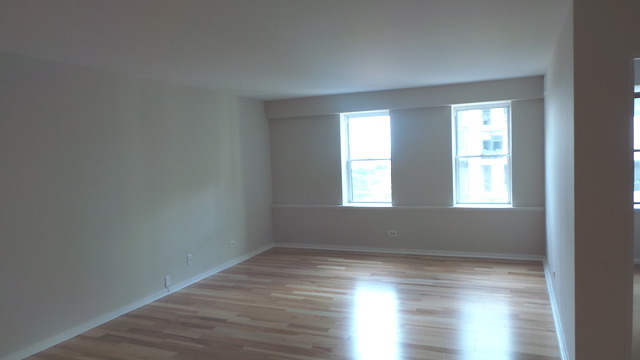 40 E 9th St #1404, Chicago, IL 60605 photo 7