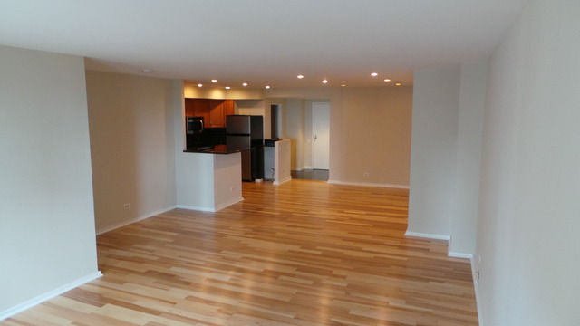 40 E 9th St #1404, Chicago, IL 60605 photo 4