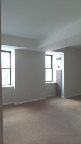 40 E 9th St #1404, Chicago, IL 60605 photo 10