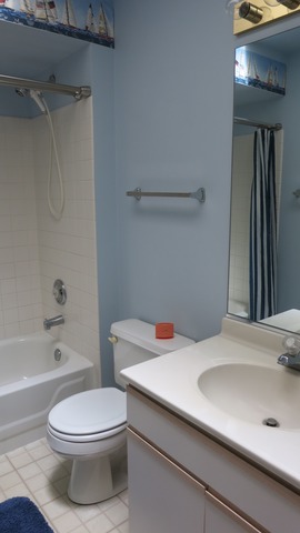 1014 Trillium Ln, Bartlett, IL 60103 photo 9