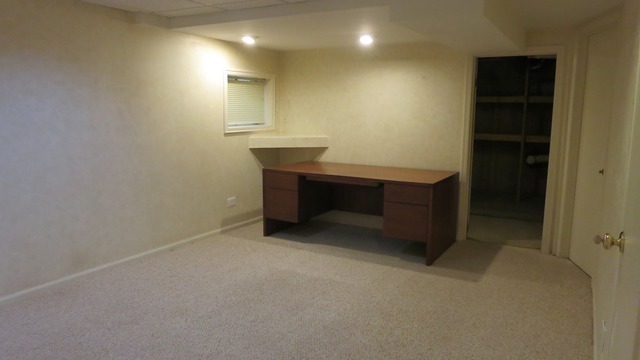 1014 Trillium Ln, Bartlett, IL 60103 photo 19