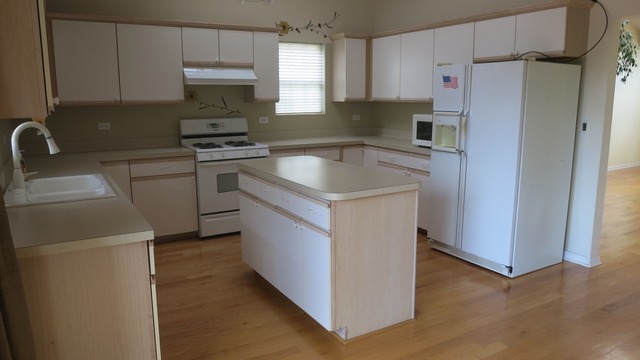 1014 Trillium Ln, Bartlett, IL 60103 photo 6