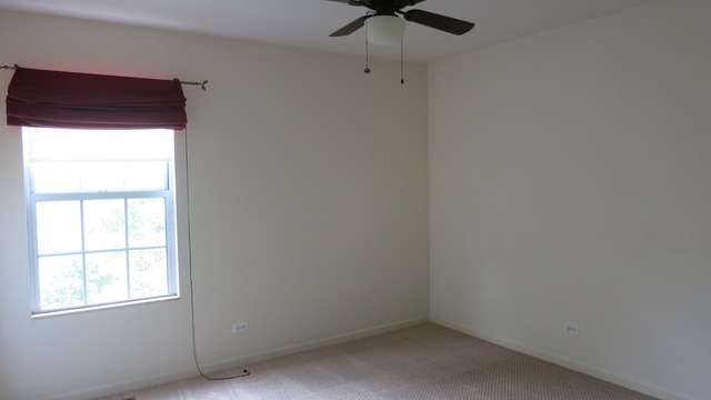 1014 Trillium Ln, Bartlett, IL 60103 photo 8